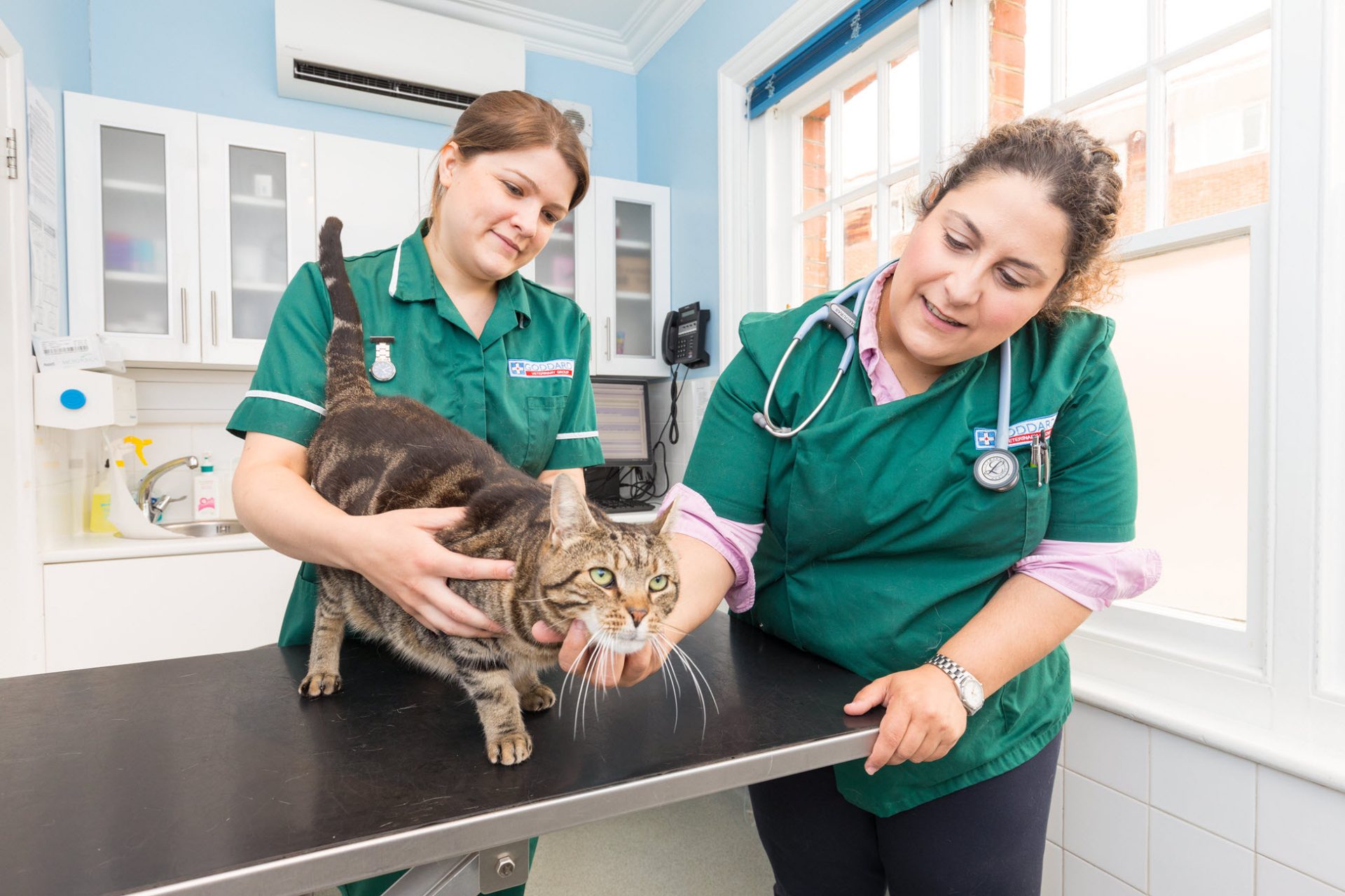 Pet Health and Wellbeing: why regular checkups matter - Goddard