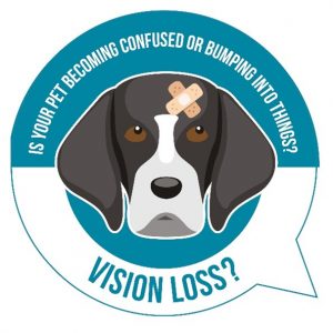 Vision Loss